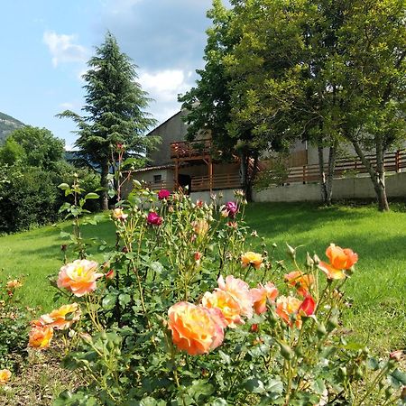 Gîte en Haute Provence Montfroc Extérieur photo
